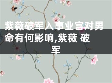 紫薇破军入事业宫对男命有何影响,紫薇 破军