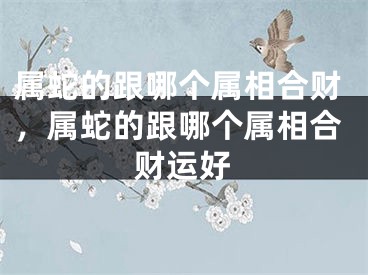 属蛇的跟哪个属相合财，属蛇的跟哪个属相合财运好