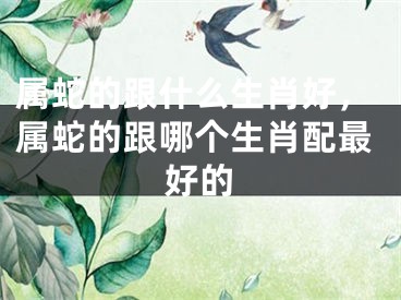 属蛇的跟什么生肖好,属蛇的跟哪个生肖配最好的