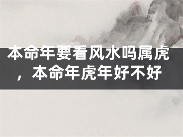 本命年要看风水吗属虎,本命年虎年好不好