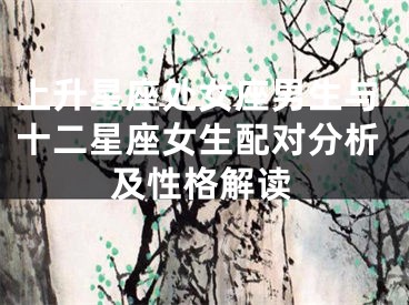 上升星座处女座男生与十二星座女生配对分析及性格解读
