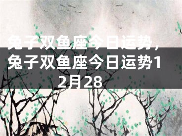 兔子双鱼座今日运势，兔子双鱼座今日运势12月28