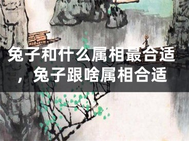 兔子和什么属相最合适，兔子跟啥属相合适