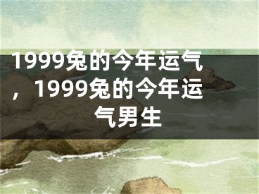 1999兔的今年运气，1999兔的今年运气男生