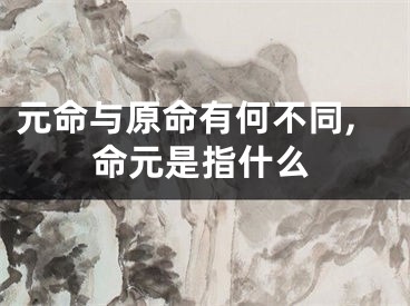 元命与原命有何不同,命元是指什么