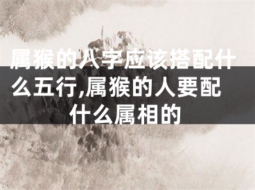 属猴的八字应该搭配什么五行,属猴的人要配什么属相的
