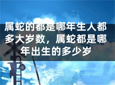 属蛇的都是哪年生人都多大岁数,属蛇都是哪年出生的多少岁