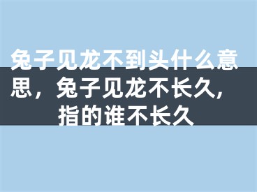 兔子见龙不到头什么意思,兔子见龙不长久,指的谁不长久
