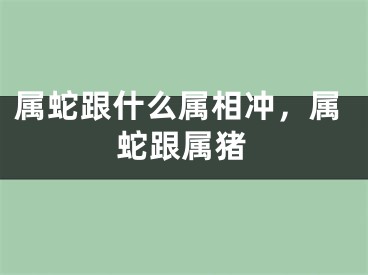 属蛇跟什么属相冲,属蛇跟属猪