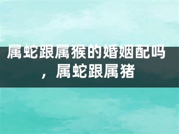 属蛇跟属猴的婚姻配吗,属蛇跟属猪