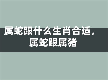 属蛇跟什么生肖合适,属蛇跟属猪