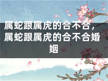 属蛇跟属虎的合不合,属蛇跟属虎的合不合婚姻