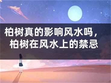 柏树真的影响风水吗,柏树在风水上的禁忌