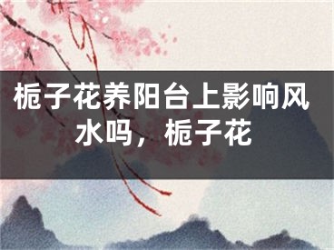 栀子花养阳台上影响风水吗，栀子花