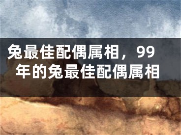 兔最佳配偶属相，99年的兔最佳配偶属相