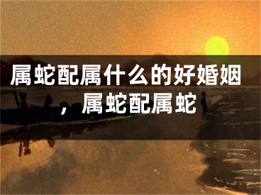 属蛇配属什么的好婚姻,属蛇配属蛇