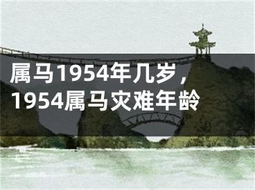 属马1954年几岁,1954属马灾难年龄