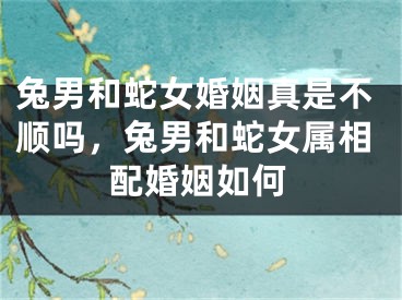 兔男和蛇女婚姻真是不顺吗,兔男和蛇女属相配婚姻如何