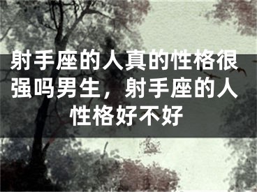 射手座的人真的性格很强吗男生，射手座的人性格好不好