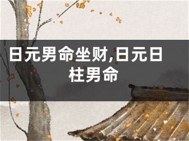 日元男命坐财,日元日柱男命