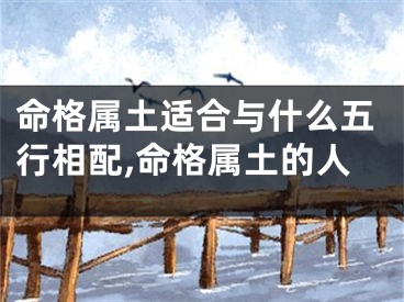 命格属土适合与什么五行相配,命格属土的人