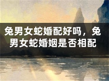 兔男女蛇婚配好吗,兔男女蛇婚姻是否相配