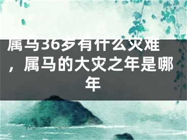 属马36岁有什么灾难，属马的大灾之年是哪年