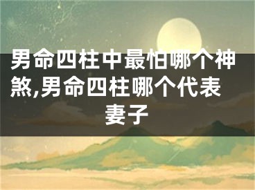 男命四柱中最怕哪个神煞,男命四柱哪个代表妻子
