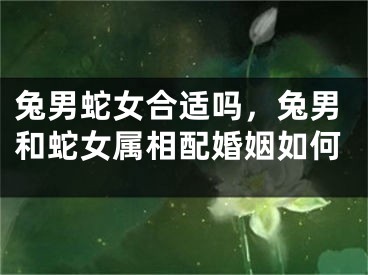 兔男蛇女合适吗,兔男和蛇女属相配婚姻如何