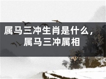 属马三冲生肖是什么，属马三冲属相
