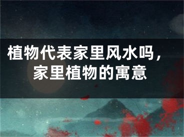 植物代表家里风水吗，家里植物的寓意
