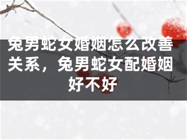 兔男蛇女婚姻怎么改善关系,兔男蛇女配婚姻好不好