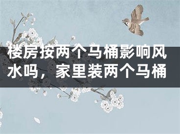 楼房按两个马桶影响风水吗，家里装两个马桶
