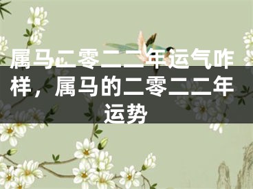 属马二零二二年运气咋样,属马的二零二二年运势