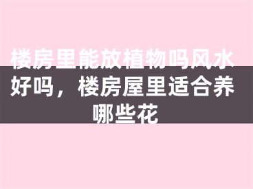 楼房里能放植物吗风水好吗，楼房屋里适合养哪些花