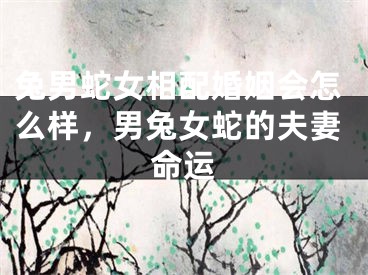 兔男蛇女相配婚姻会怎么样,男兔女蛇的夫妻命运