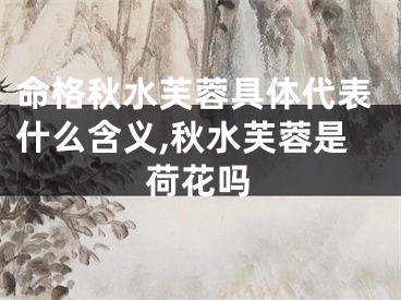 命格秋水芙蓉具体代表什么含义,秋水芙蓉是荷花吗