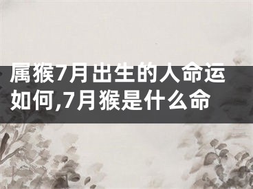 属猴7月出生的人命运如何,7月猴是什么命