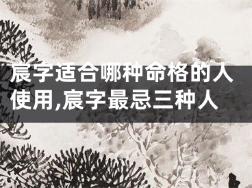 宸字适合哪种命格的人使用,宸字最忌三种人