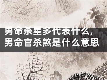 男命杀星多代表什么,男命官杀煞是什么意思