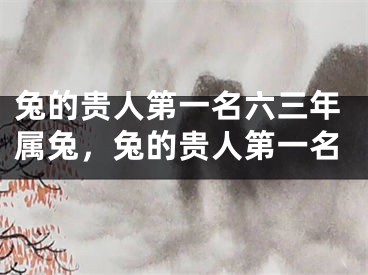 兔的贵人第一名六三年属兔，兔的贵人第一名