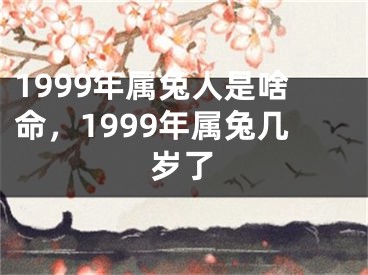 1999年属兔人是啥命,1999年属兔几岁了