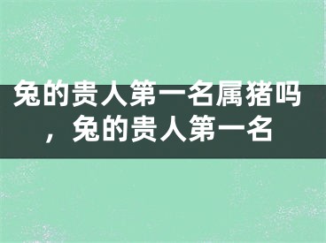 兔的贵人第一名属猪吗，兔的贵人第一名