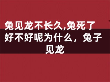 兔见龙不长久,兔死了好不好呢为什么,兔子见龙