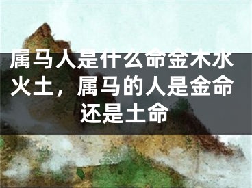属马人是什么命金木水火土,属马的人是金命还是土命