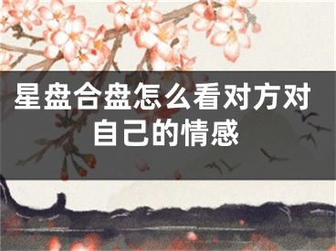 星盘合盘怎么看对方对自己的情感