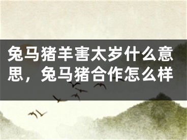 兔马猪羊害太岁什么意思，兔马猪合作怎么样