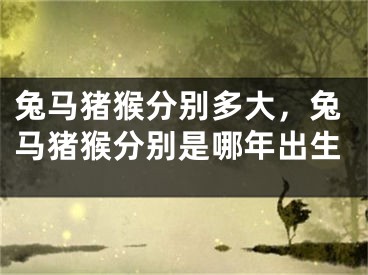 兔马猪猴分别多大，兔马猪猴分别是哪年出生