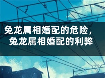 兔龙属相婚配的危险，兔龙属相婚配的利弊