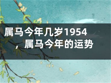 属马今年几岁1954，属马今年的运势